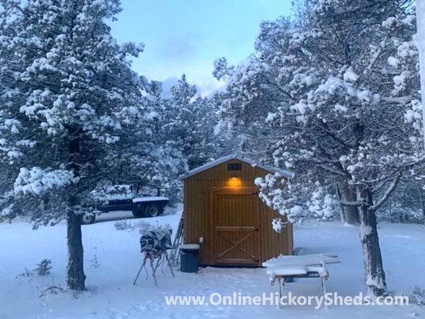 Hickory Sheds Utility Shed Stained Honey Gold with Front Light